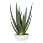 Evarado - Aloe Planter - White