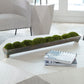 Canal - Moss Centerpiece - Green