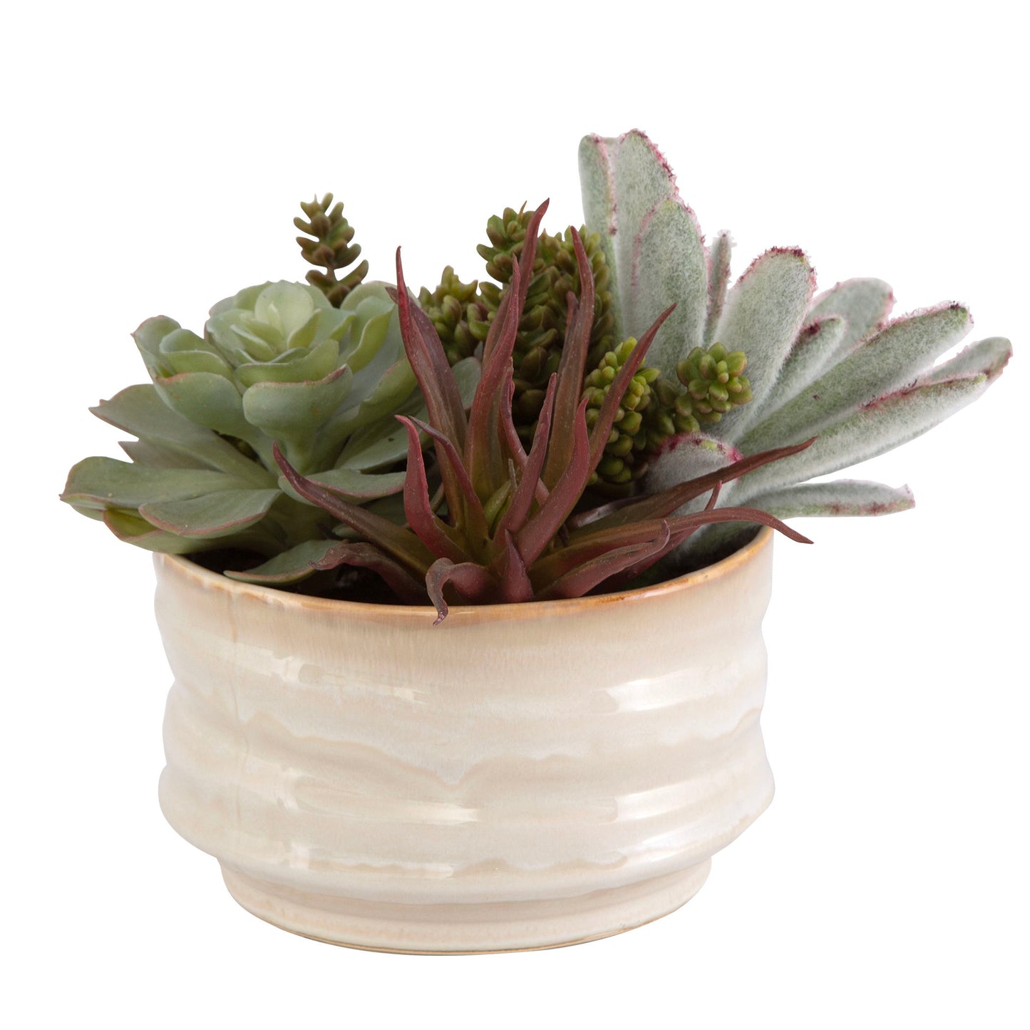 Mesa Succulent Accent - Pearl Silver