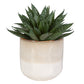 Doha - Succulent Accent - Pearl Silver