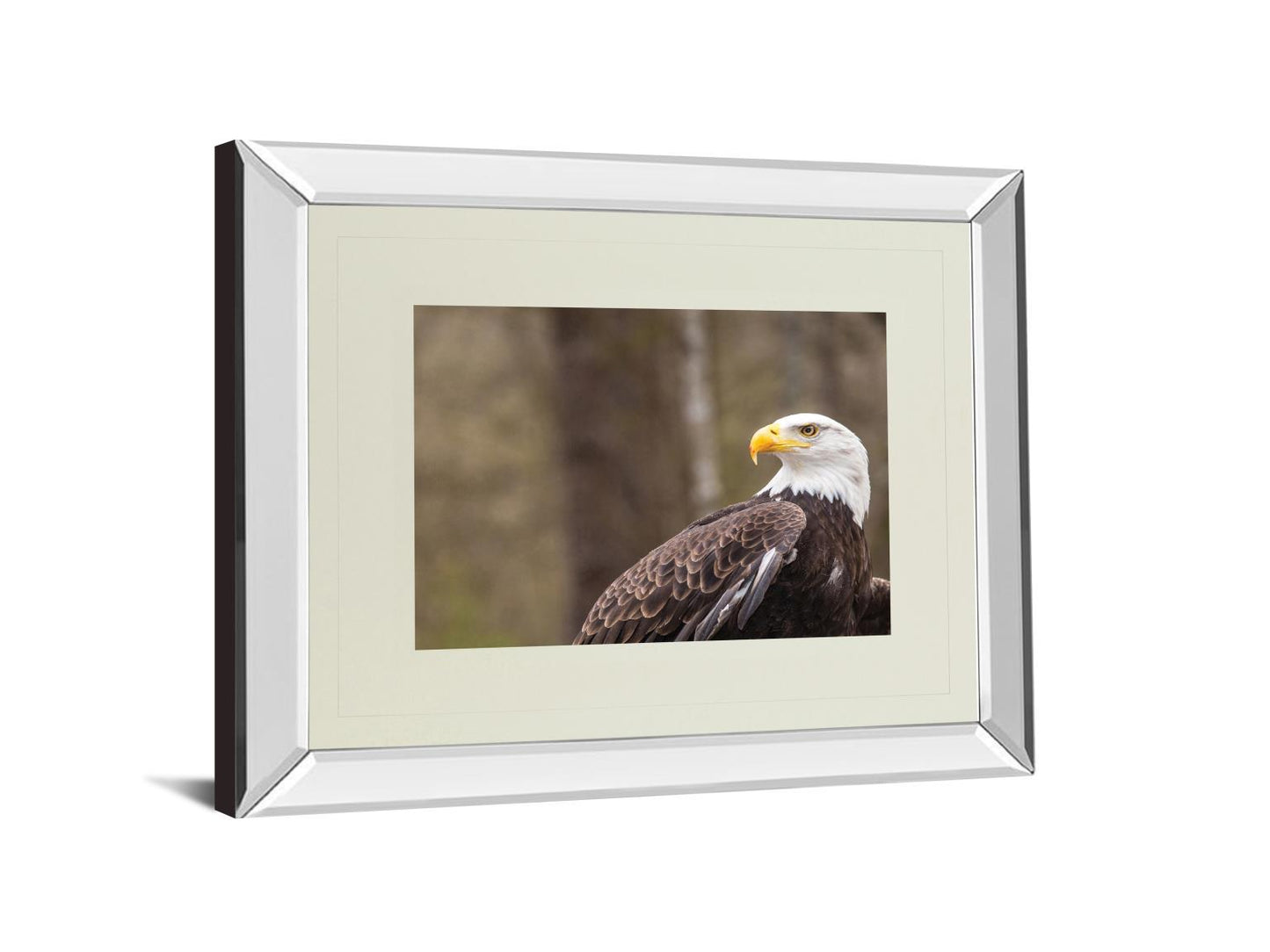 Majestic Eagle By Garytog Double Matted - Mirror Framed Wall Art - Red