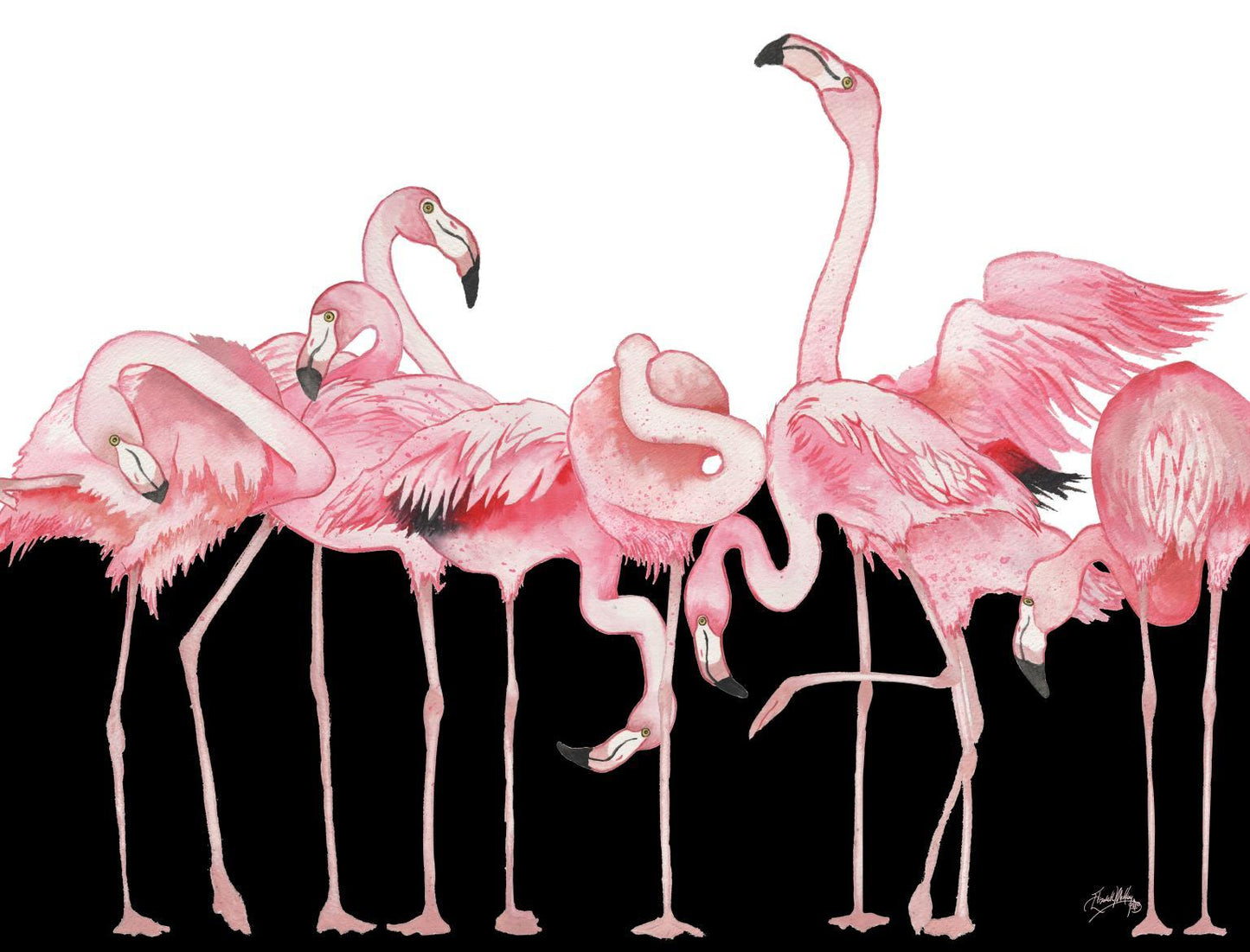 Black And White Meets Flamingos By Elizabeth Medley (Small) - Pink