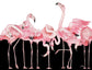 Black And White Meets Flamingos By Elizabeth Medley (Small) - Pink