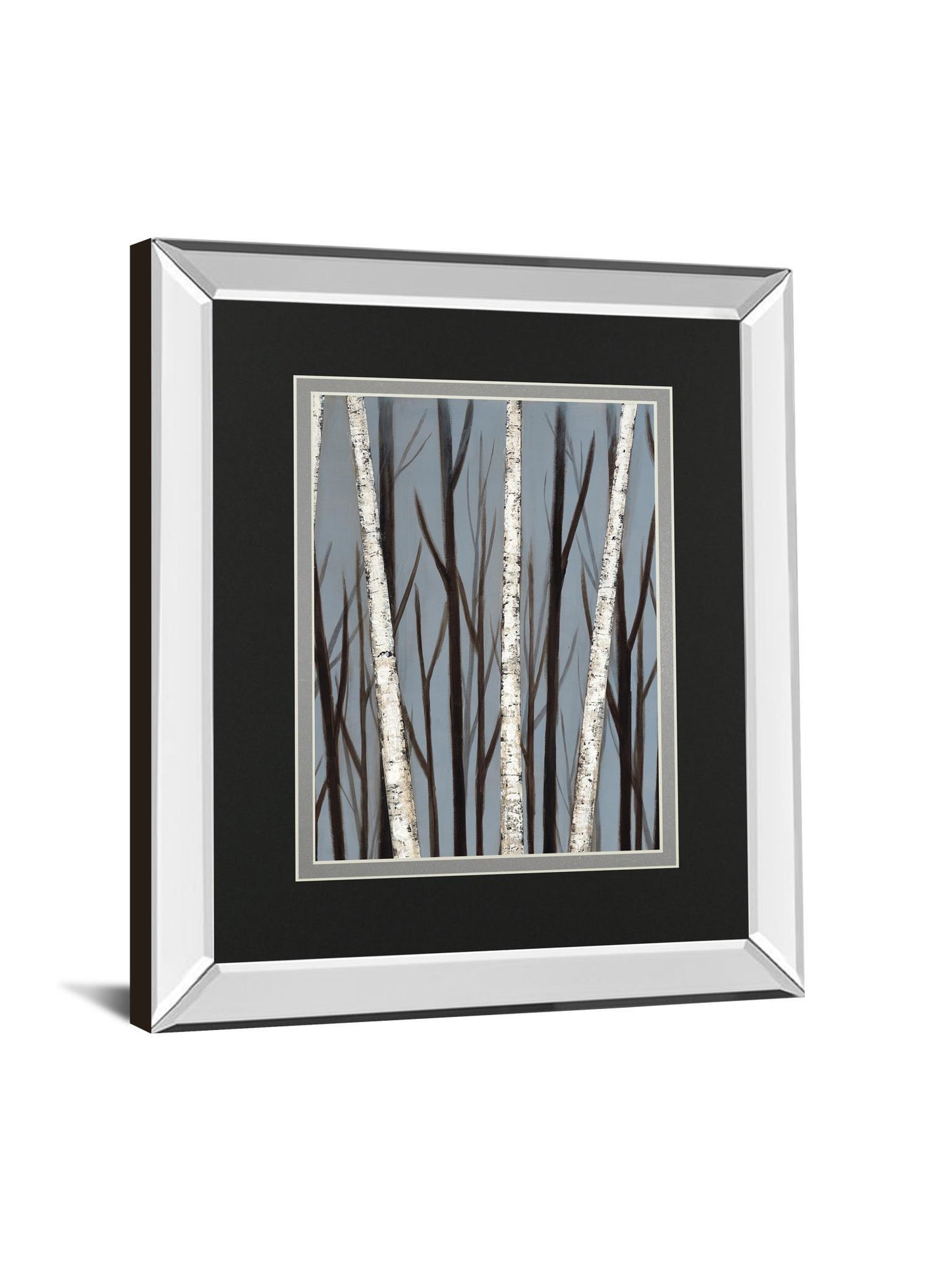 Birch Shadows By Eve Mirrored Frame - Dark Gray