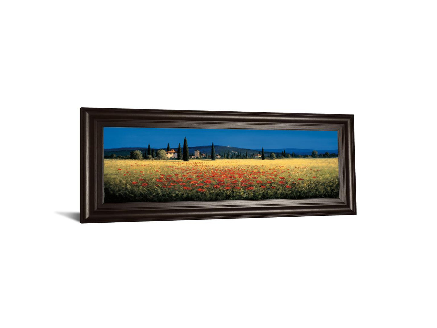 Tuscan Panorama-poppies By David Short - Blue