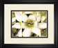 Star Of Bethlehem Triptych By Levine A. - White