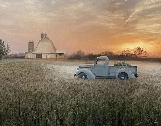 Evening Farm By Nan (Framed) - Orange