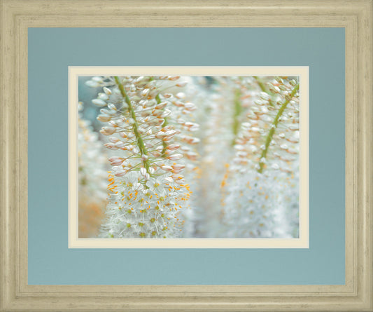 Humbled By Frank Assaf - Framed Print Wall Art - White