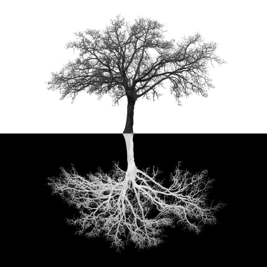 Small - Inverse Tree - Black