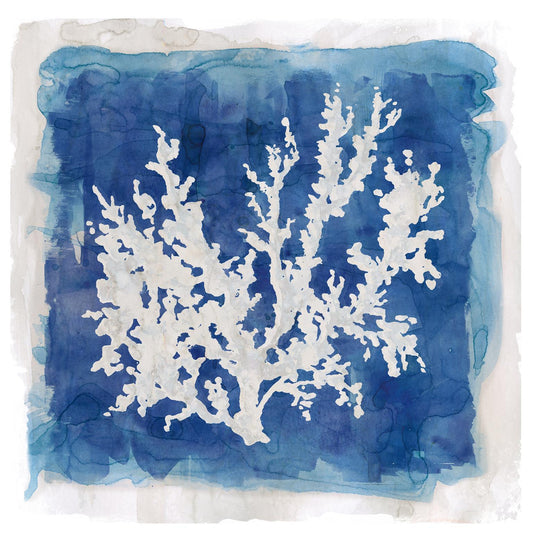 Framed Small - Coastal Washes Coral II By Carol Robinson - Blue