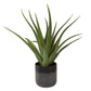 Tucson - Aloe Planter - Black