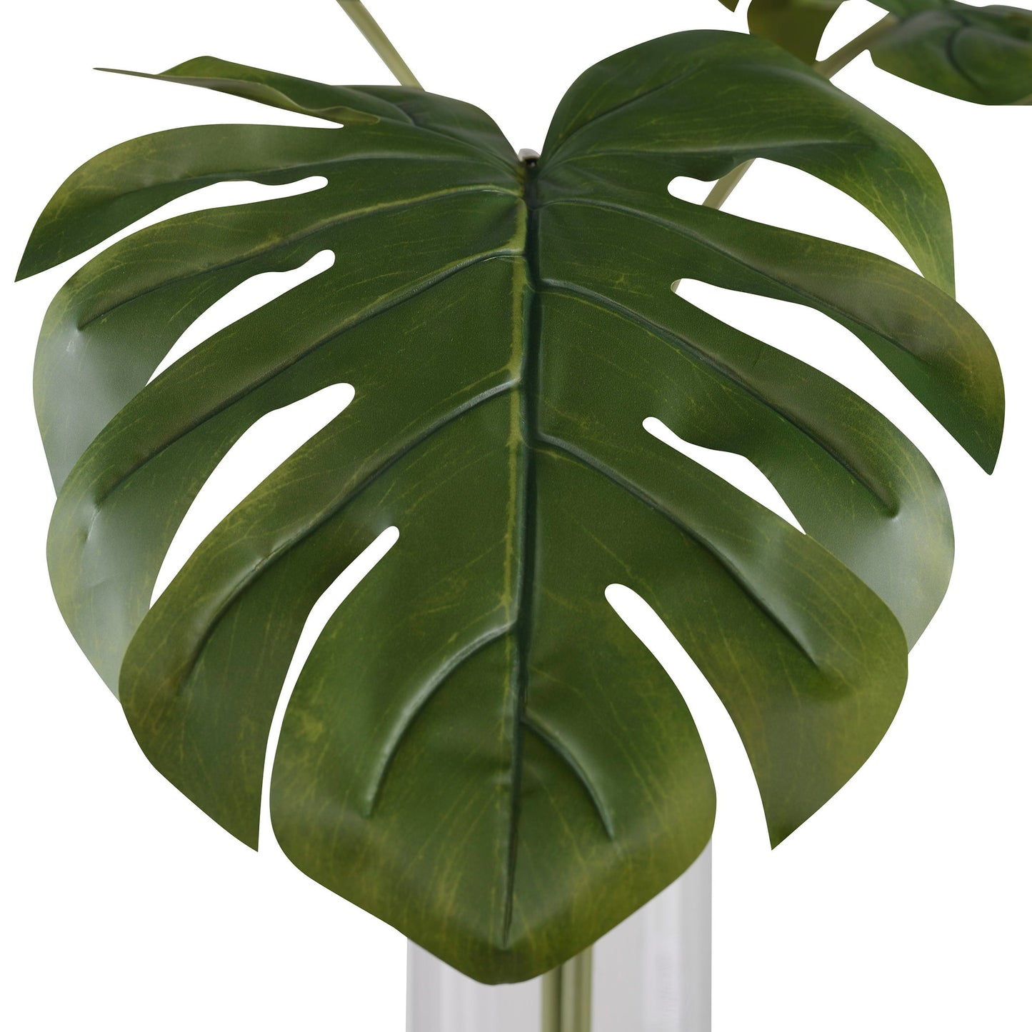 Ibero - Split Leaf Palm - Green