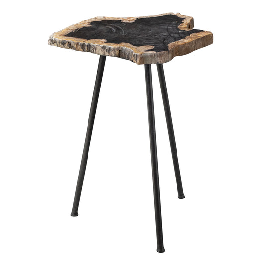 Mircea - Petrified Wood Accent Table - Black & Light Brown