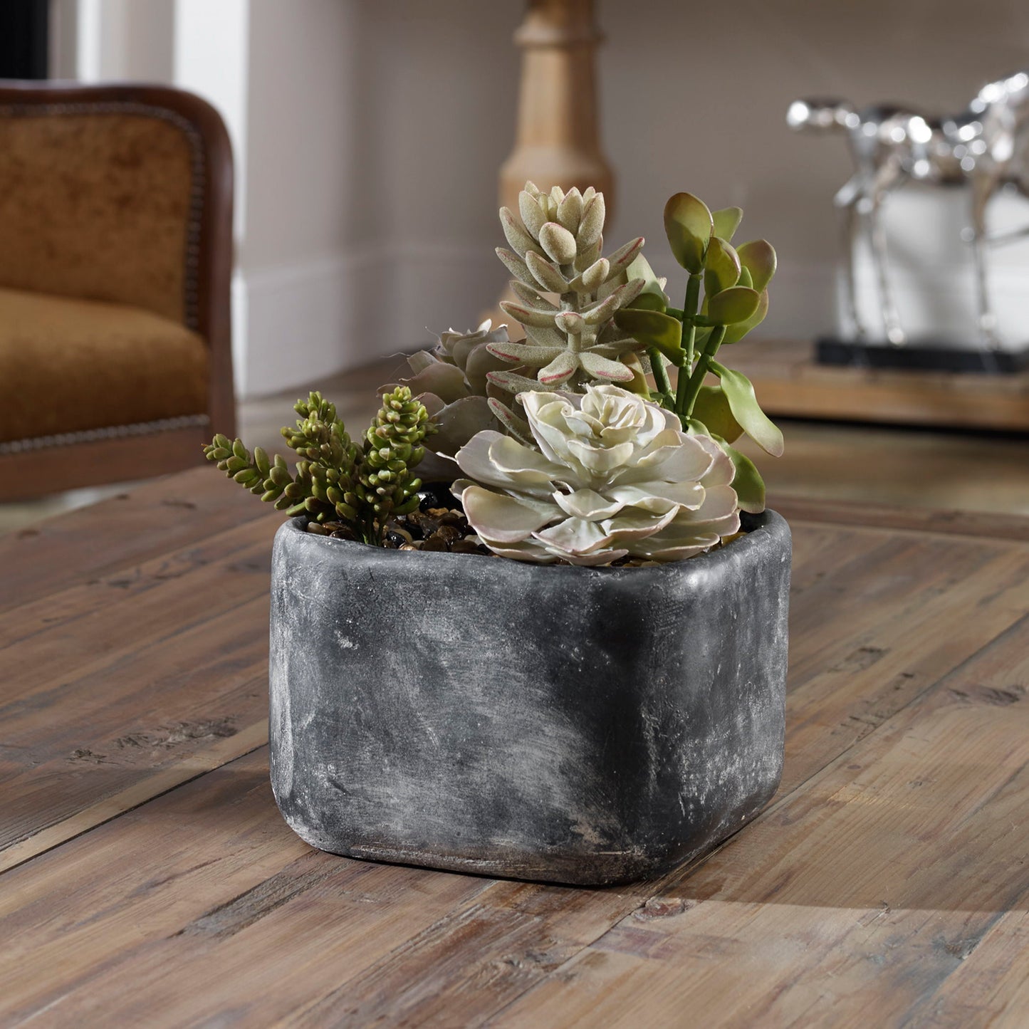 Alverio - Desert Garden Succulents - Pearl Silver