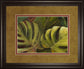 Green For Ever I By Patricia Pinto - Framed Print Wall Art - Green