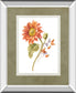 Floursack Autumn II On White By Danhui Nai Mirrored Frame - Red