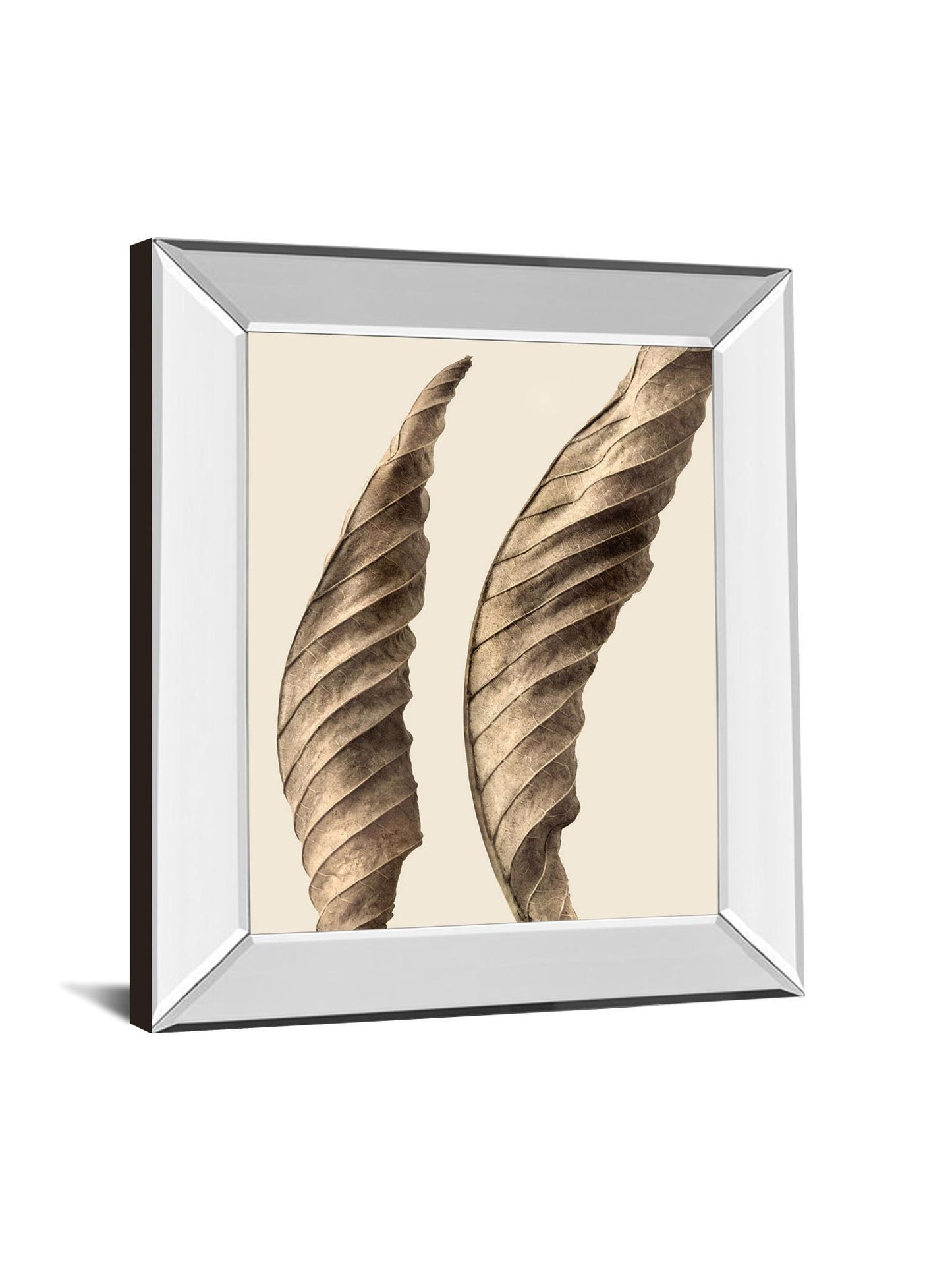 Turning Leaves I By Jeff Friesen - Mirror Framed Print Wall Art - Dark Brown