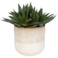 Doha - Succulent Accent - Pearl Silver
